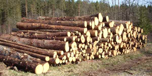 Barrmassaved